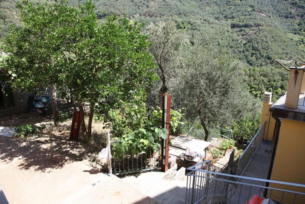 Le Case Della Lizza - Casa Verde Levanto Buitenkant foto