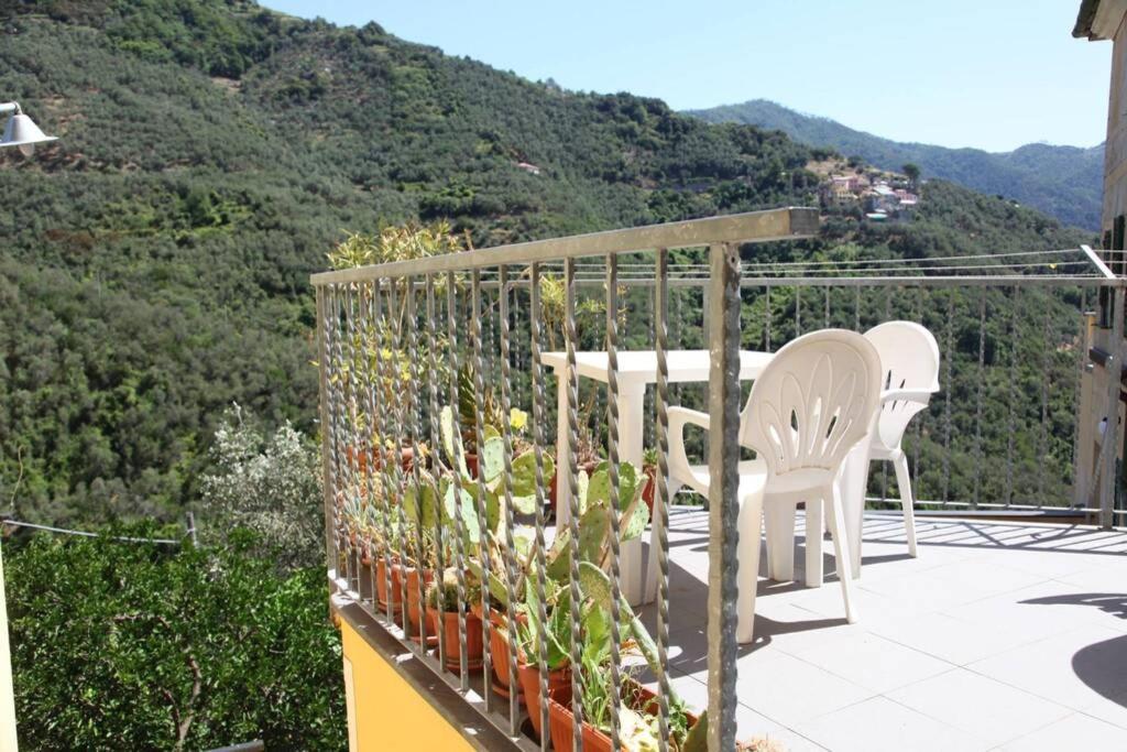 Le Case Della Lizza - Casa Verde Levanto Buitenkant foto
