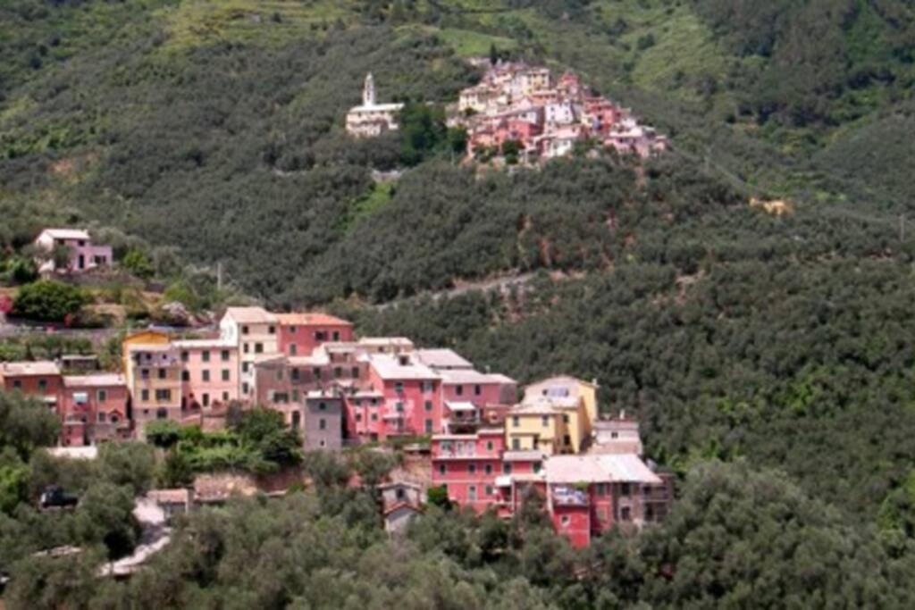 Le Case Della Lizza - Casa Verde Levanto Buitenkant foto