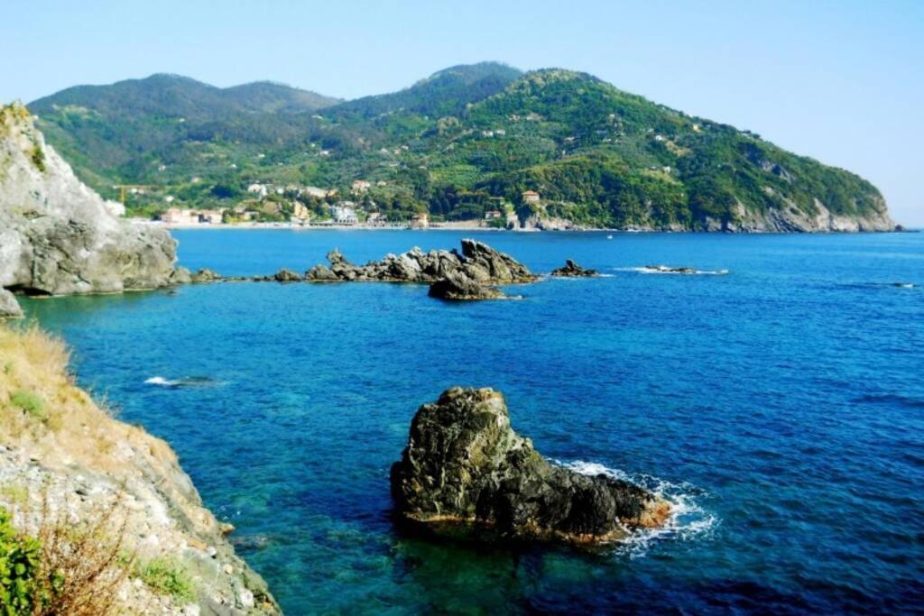 Le Case Della Lizza - Casa Verde Levanto Buitenkant foto